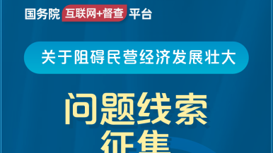 日本黄色调逼，国务院“互联网+督查”平台公开征集阻碍民营经济发展壮大问题线索